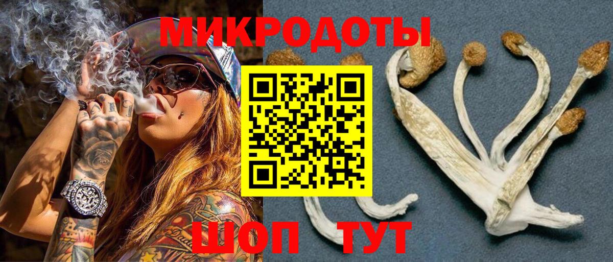 Ржев  Галлюциногенные грибы MAGIC MUSHROOMS  Вход с VPN 