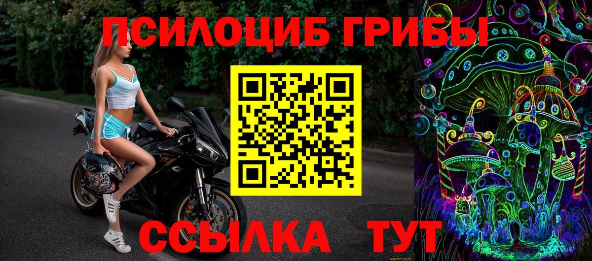Галлюциногенные грибы Psilocybe Ржев